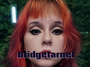 Bridgetarnet