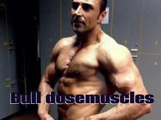 Bull_dosemuscles