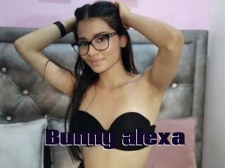 Bunny_alexa