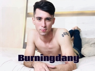 Burningdany