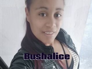 Bushalice