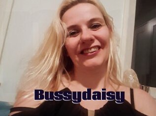 Bussydaisy