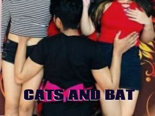 CATS_AND_BAT