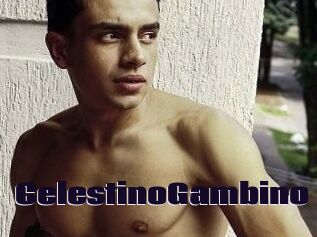 CelestinoGambino