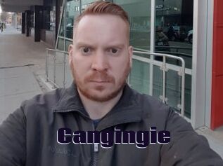 Cangingie