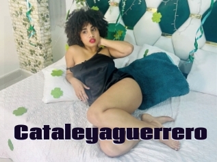 Cataleyaguerrero