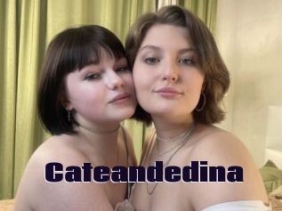 Cateandedina