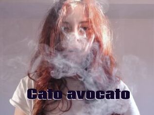 Cato_avocato