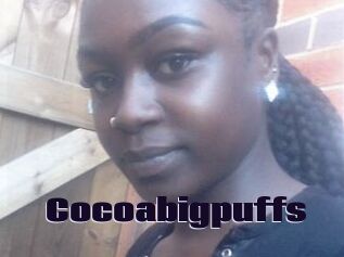 Cocoabigpuffs