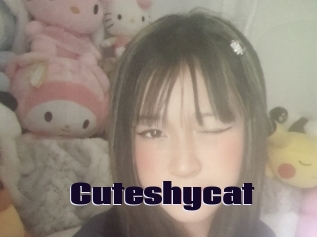 Cuteshycat