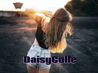 DaisyColle