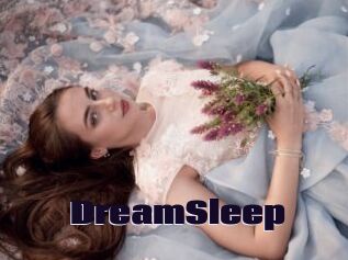 DreamSleep