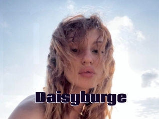 Daisyburge