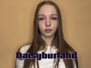 Daisyburland