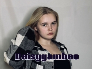 Daisygambee