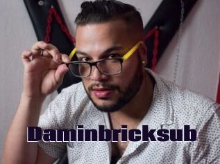 Daminbricksub