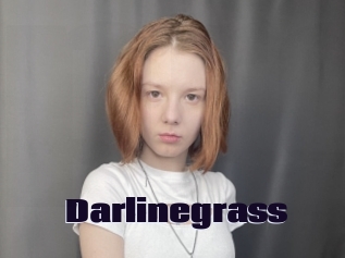 Darlinegrass