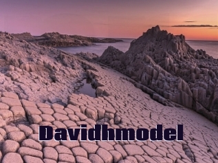 Davidhmodel