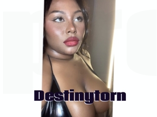 Destinytorn