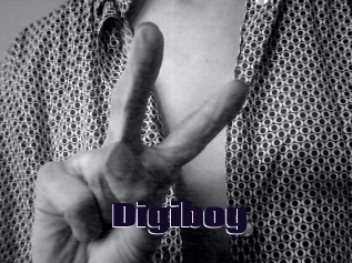 Digiboy