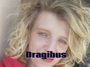 Dragibus