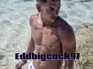 Eddbigcock97
