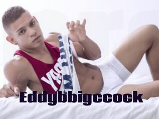 Eddybbigccock