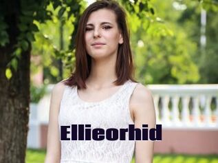 Ellieorhid