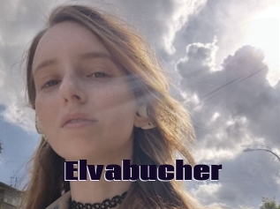 Elvabucher