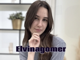 Elvinagomer