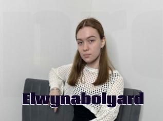 Elwynabolyard