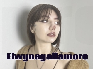 Elwynagallamore