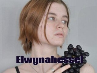 Elwynahessel