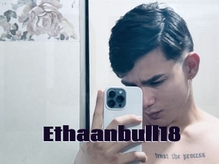 Ethaanbull18