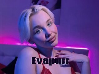Evapurr