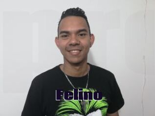 Felino