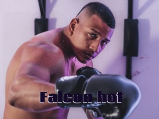 Falcon_hot