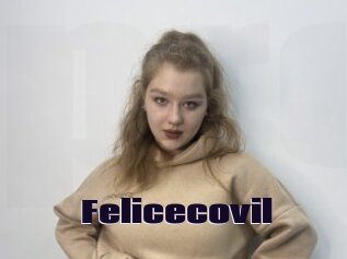 Felicecovil