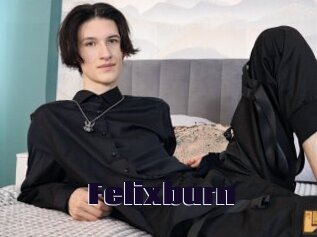 Felixburn