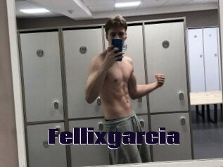 Fellixgarcia