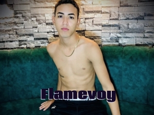 Flamevoy