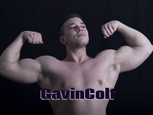 GavinColt