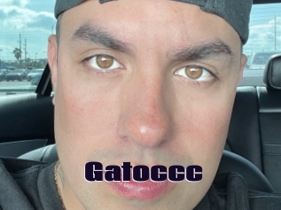Gatoccc