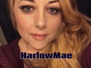 HarlowMae