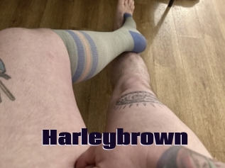 Harleybrown