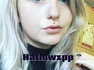 Harlowxpp