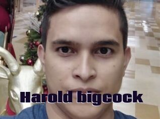 Harold_bigcock