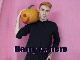 Harrywalters