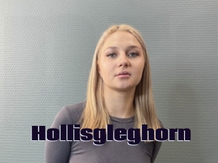 Hollisgleghorn