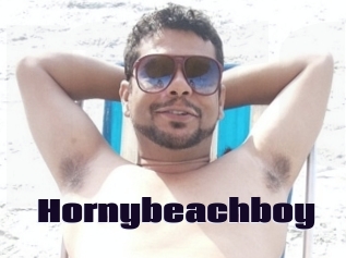 Hornybeachboy